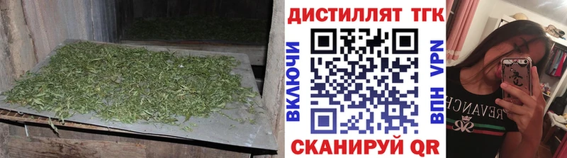 Купить  Ижевск  ТГК THC oil 