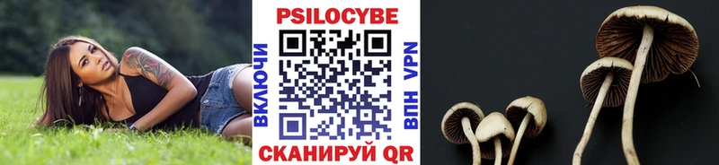 Псилоцибиновые грибы Cubensis  Купить где  Ижевск 