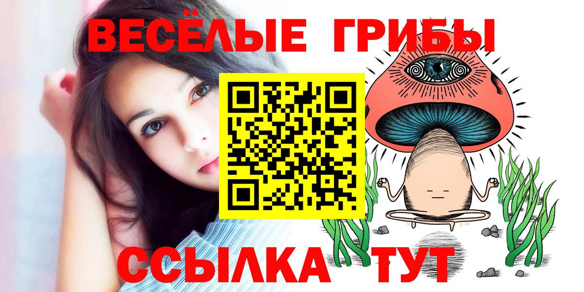 Ижевск  Псилоцибиновые грибы прущие грибы  Вход с VPN 