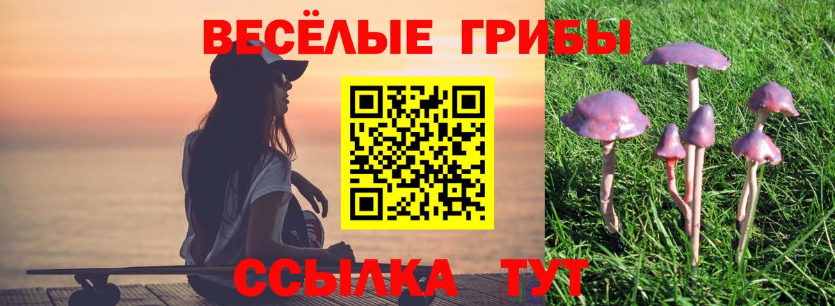 Галлюциногенные грибы Magic Shrooms Ижевск