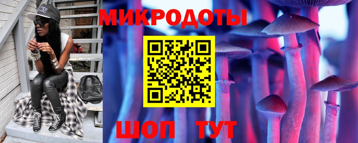 Псилоцибиновые грибы мухоморы  Ижевск  Галлюциногенные грибы Psilocybine cubensis 