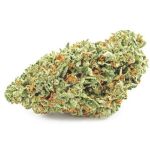 Шишки OG Kush  (Гидропоника, бошки) VHQ в Ижевске